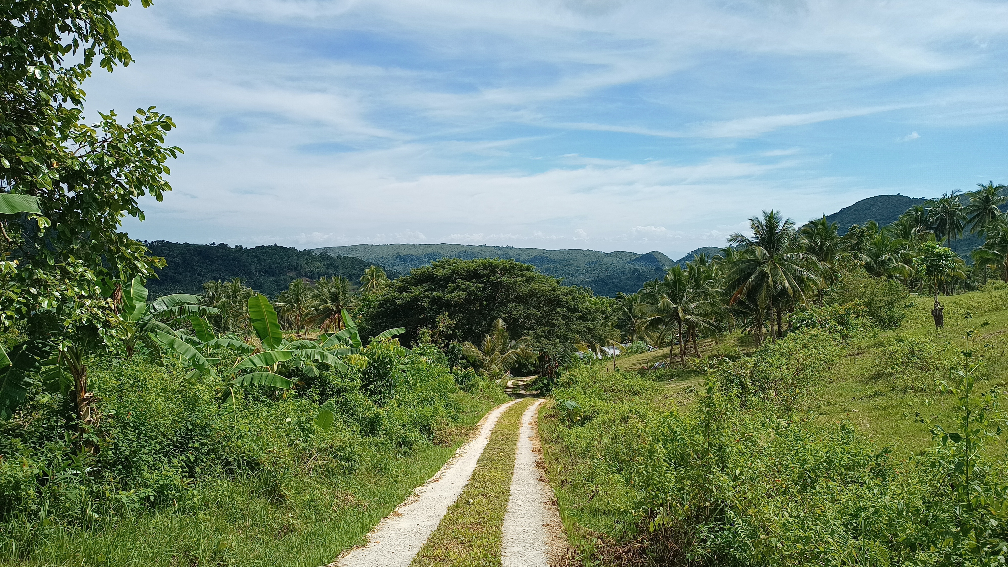 Single-track gravel through hills